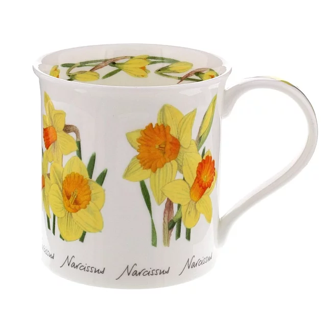 Spring Flowers - Daffodil hrnek