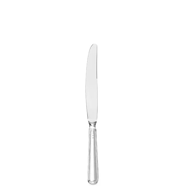 Jídelní nůž 25 cm