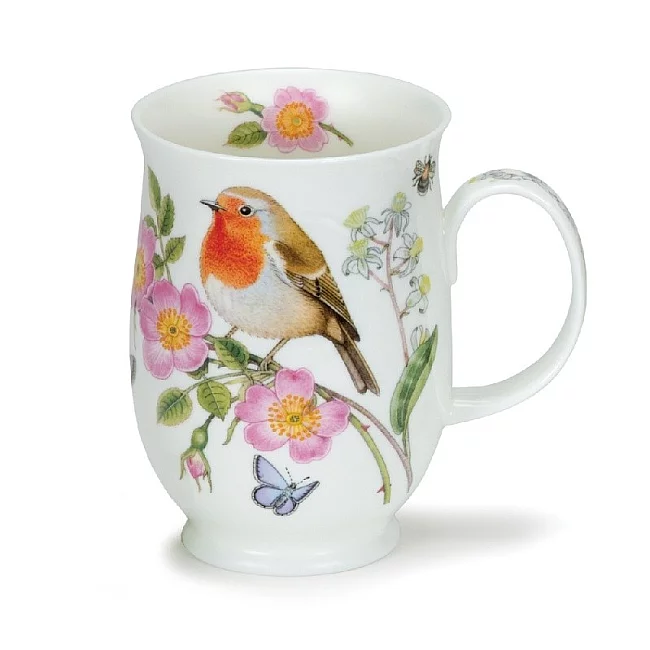 Hedgerow Birds - Robin hrnek
